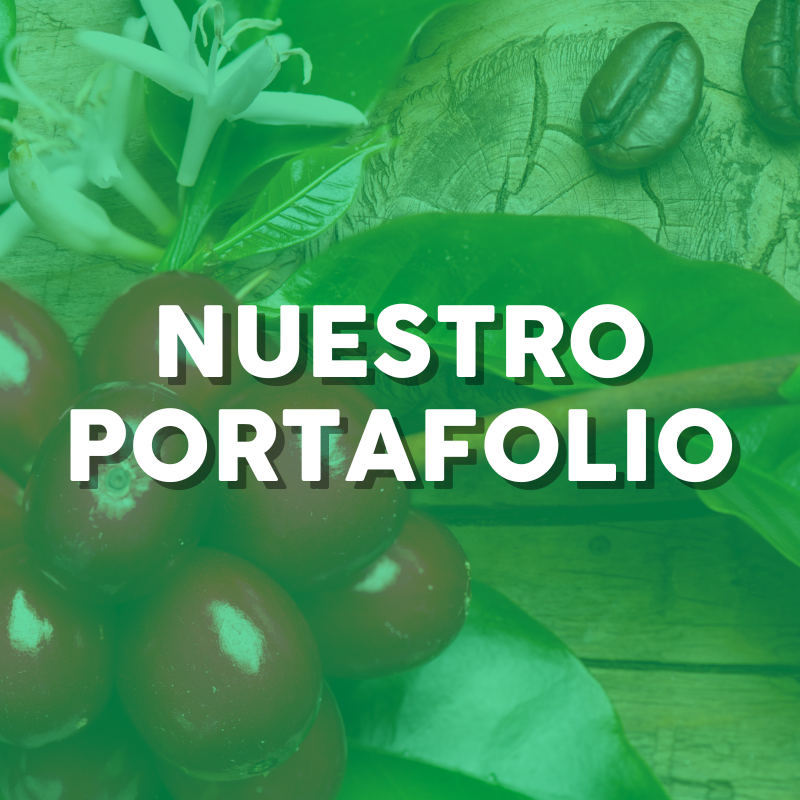 CONOCE MÁS SOBRE NOSOTROS